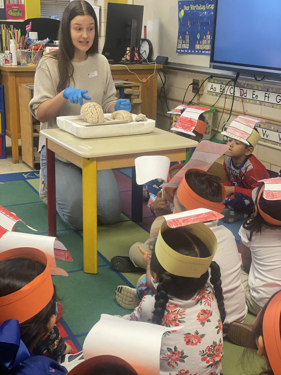 STEMwoodward's tweet photo. Thank you @MeyerBaese @CoulterBME for helping Kinder & PreK explore the structure and function of a cadaver brain ๐ง during #GASTEMDay Future research scientists at work ๐ฌ@DCSDSTEM @ScienceATL @TAG_Education @DeKalbSchools https://t.co/SoRIK9BlkT