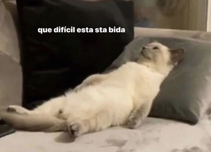 AndresMgdeth's tweet photo. Saliendo de la utqx https://t.co/XmshRiQVmj