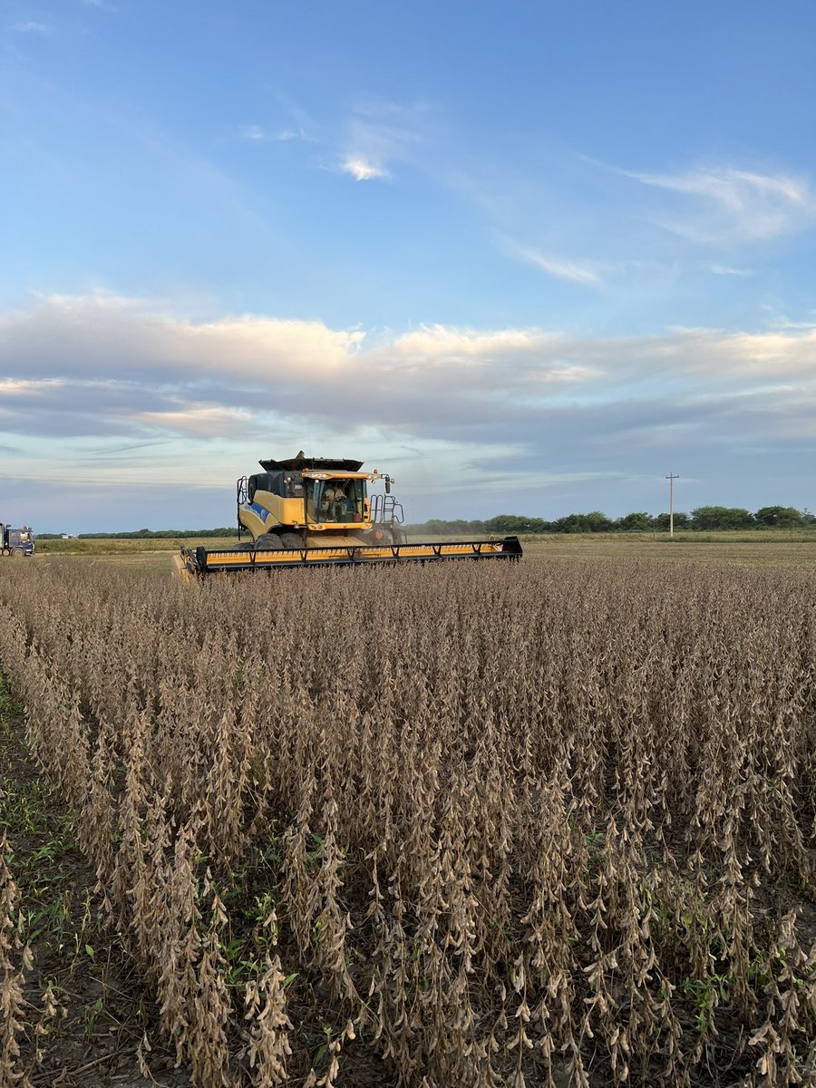 It’s go time! Soybean harvest has started here in Bolivia. #Soybean #Bolivia #agro #harvest23