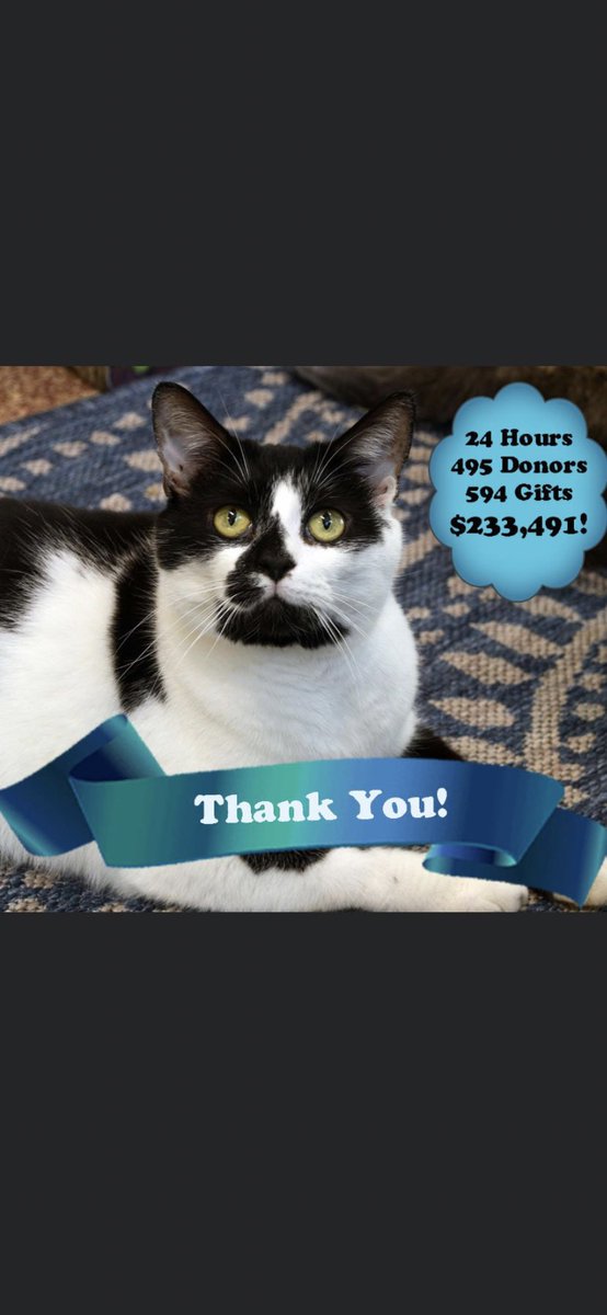 We are always in awe of the generosity of the folks who believe in what we do for the #cats. Absolutely amazing. Thank you. #AmplifyAustin #ILiveHereIGiveHere