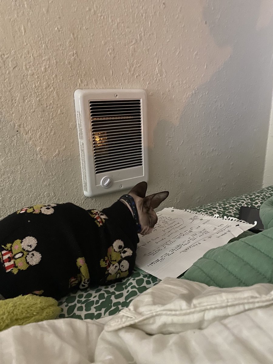 Her ass is not reading