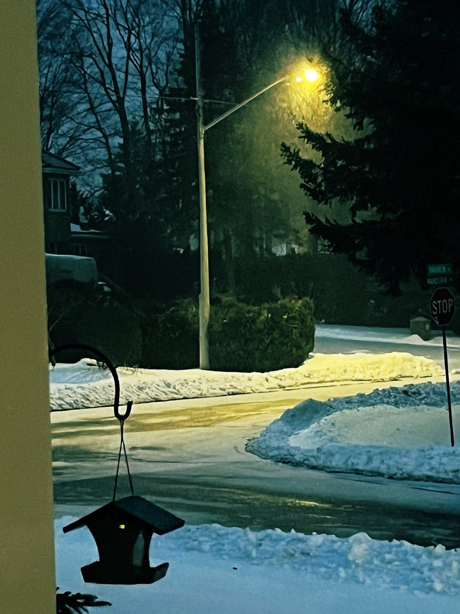 Grassroots Curling (@grassrootscurl) on Twitter photo There’s a storm building out there, but it’s <a href="/TeamGushue/">Team Gushue</a> on <a href="/TSNCurling/">TSN Curling</a> and the thermos is full (just in case - tea a necessity) and the next week is all #Brier2023 so, yeah, I’m good! #OnStorm There’s a storm building out there, but it’s <a href="/TeamGushue/">Team Gushue</a> on <a href="/TSNCurling/">TSN Curling</a> and the thermos is full (just in case - tea a necessity) and the next week is all #Brier2023 so, yeah, I’m good! #OnStorm
