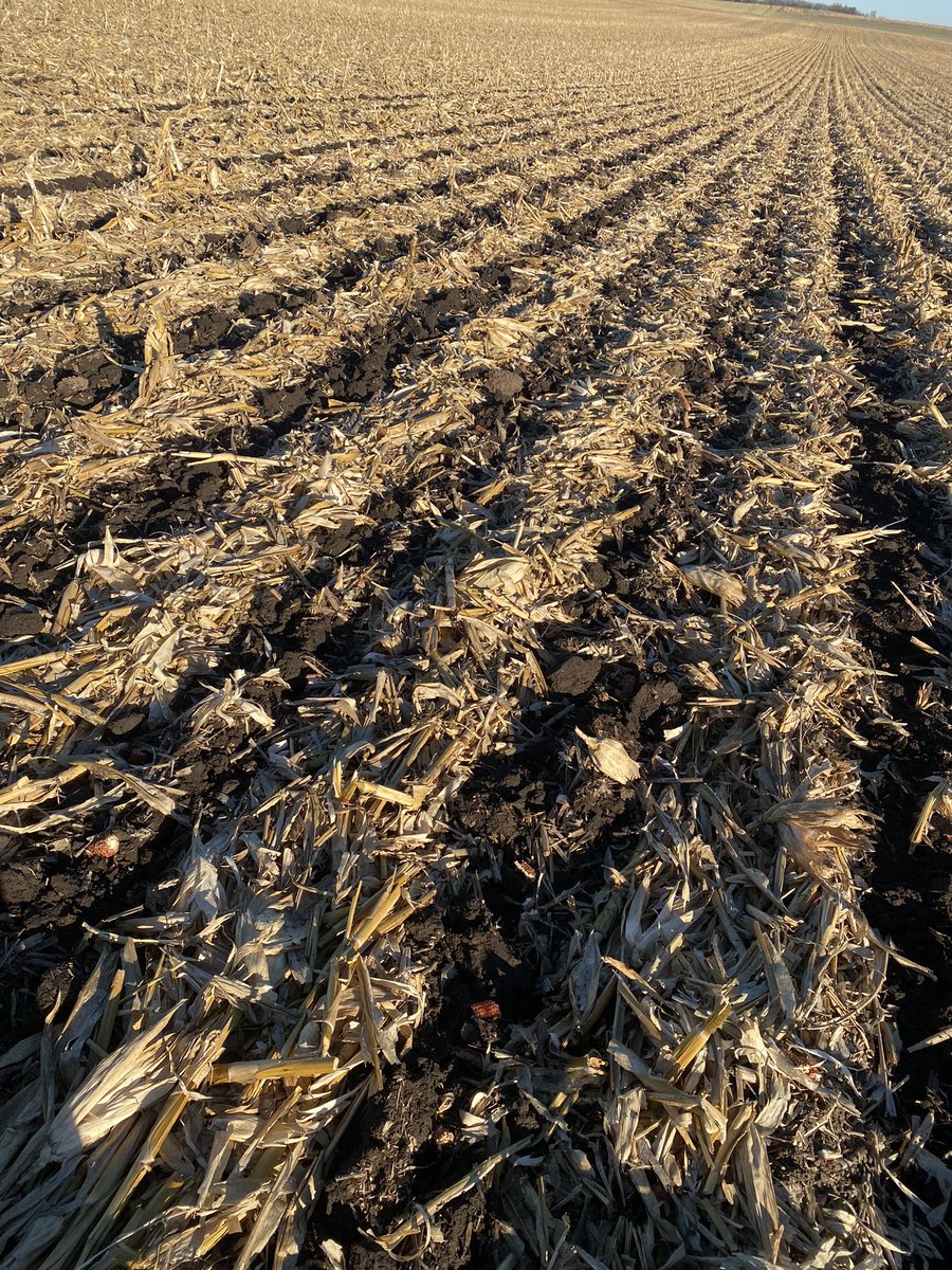 Ryan R. Nell tweet media