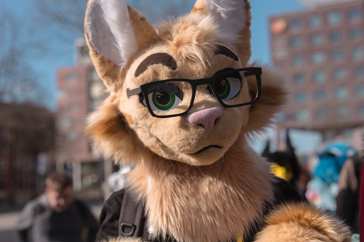 GreyTheSergal's tweet photo. Well hello there~ *approaches you carefully*
Subject: @MuffinzCat
#amersfoort #furwalk #furry #cat #hesosmart https://t.co/qWnC87C1NH