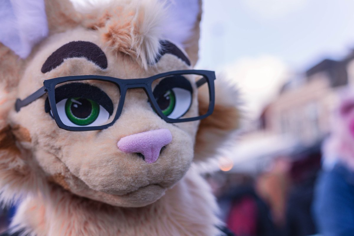 GreyTheSergal's tweet photo. Well hello there~ *approaches you carefully*
Subject: @MuffinzCat
#amersfoort #furwalk #furry #cat #hesosmart https://t.co/qWnC87C1NH