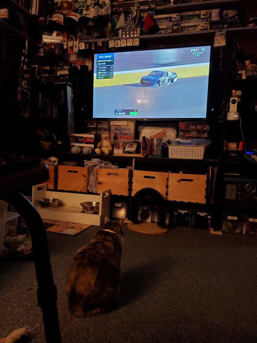 j_anselowitz's tweet photo. #nascarkitty is a little to X-cited for @XfinityRacing practice tonight and she knows it's not the race since she doesn't have her @JCR_Clements51 shirt on... she'll be full Winnie the Pooh tomorrow 🤣 https://t.co/Tu797qceVv