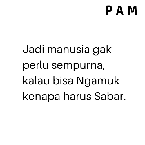 P A M tweet media