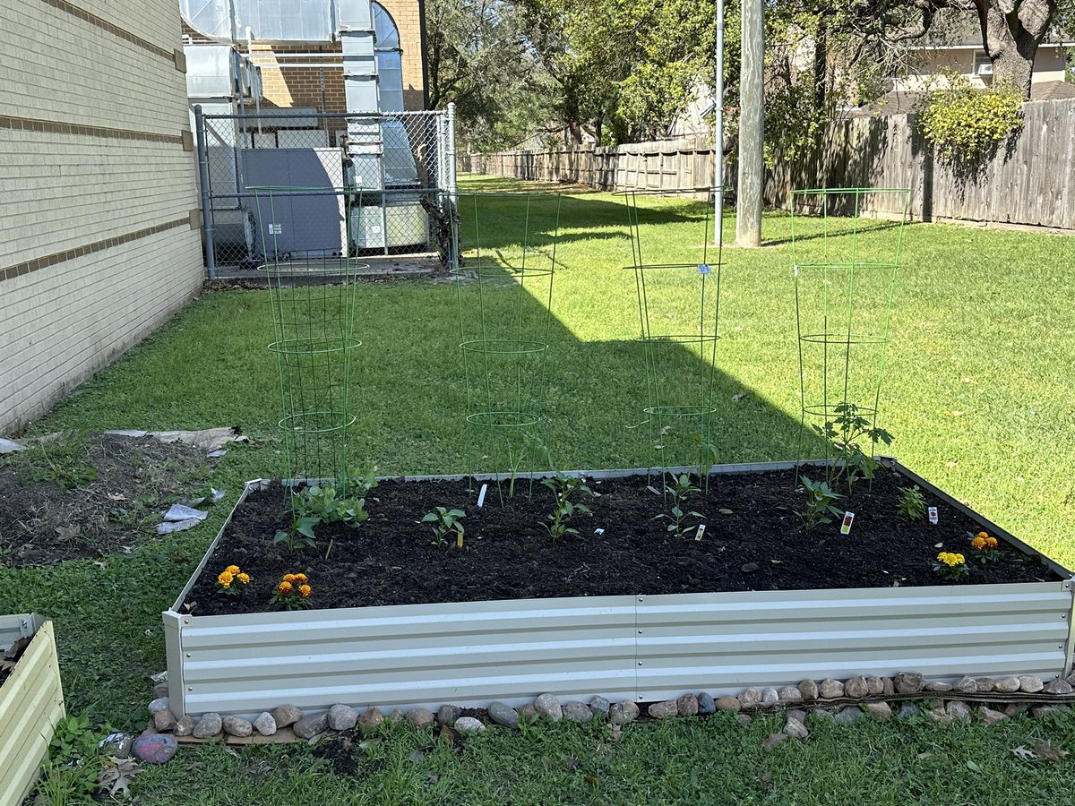 Teresa Dolan tweet media