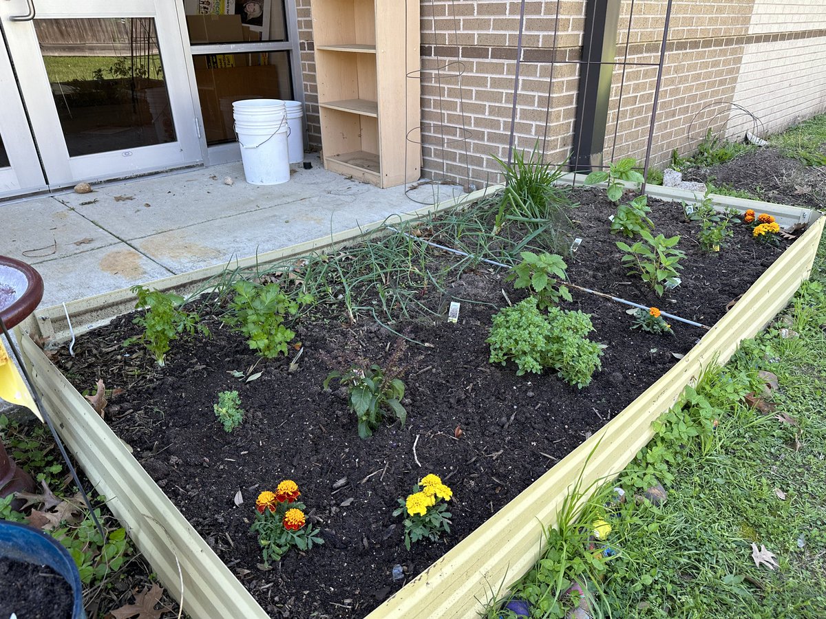 Teresa Dolan tweet media