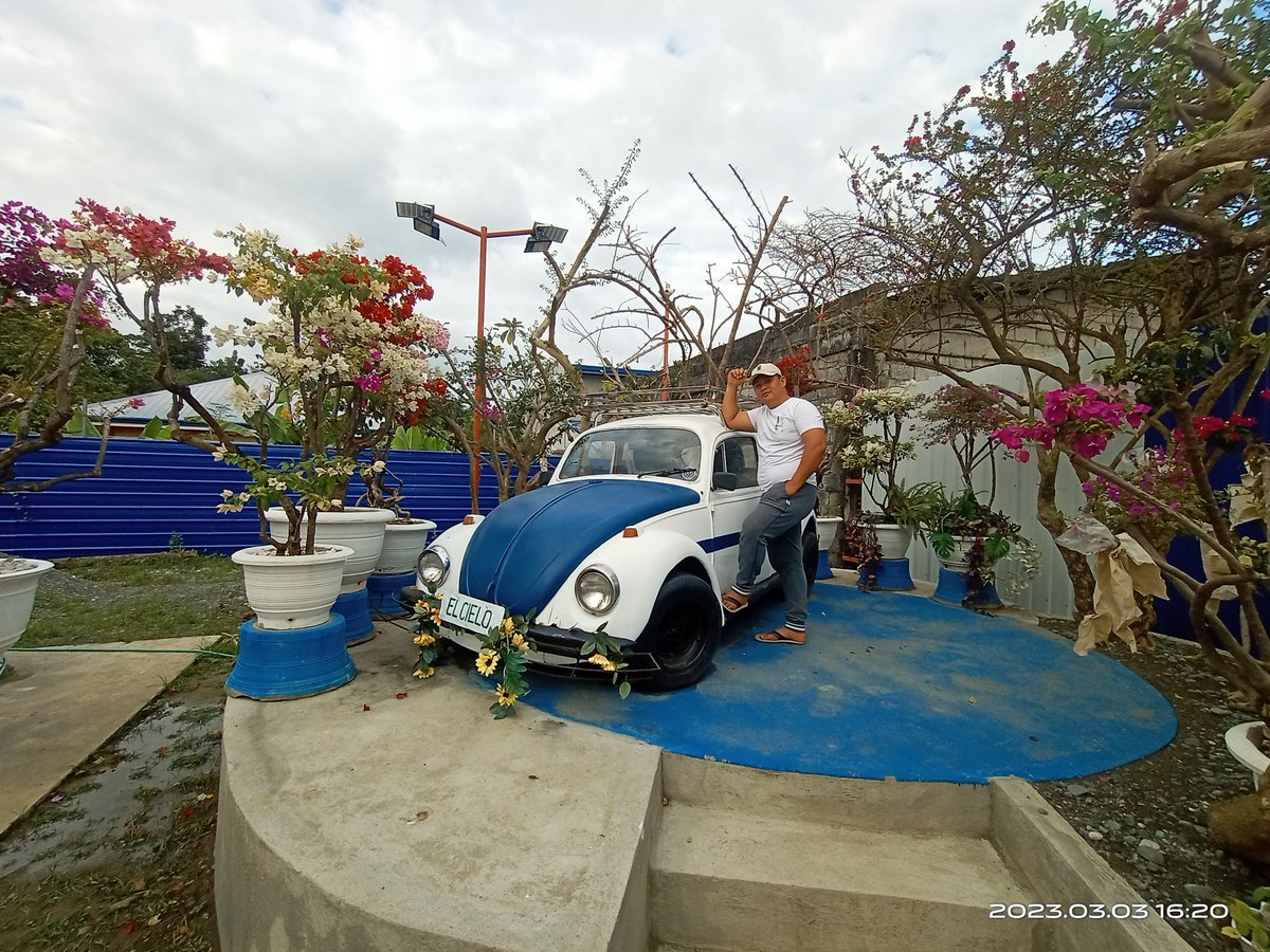 BarrogaMar tweet picture