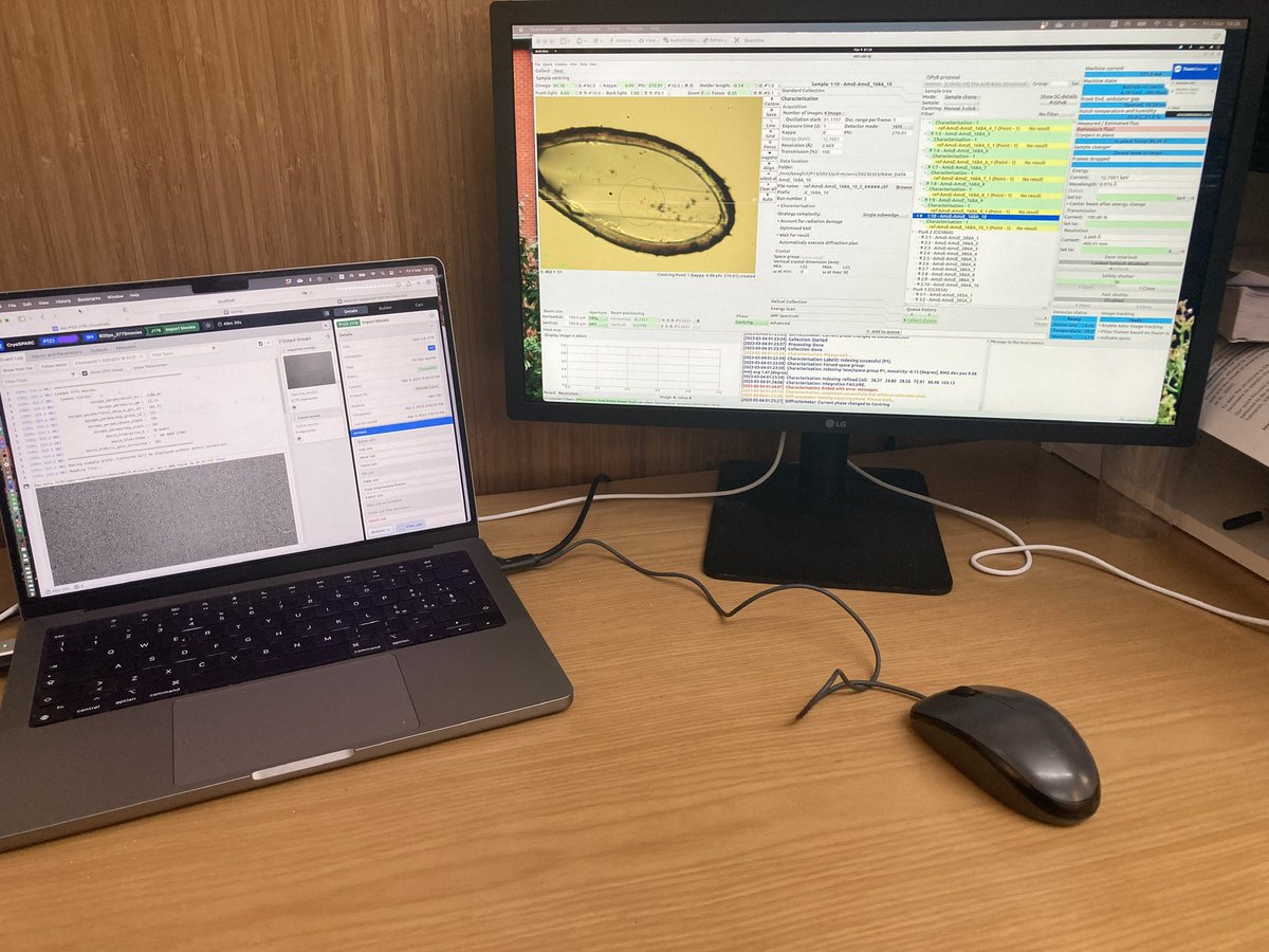 Having two lovers in New York: the young #cryoSPARC on the left hand, MXCUBE to the good old P13 #EMBL Hamburg on the right hand … life is tricky sometimes … ;)