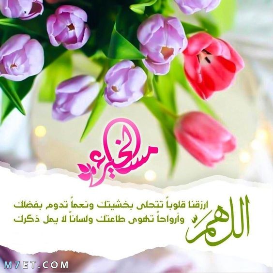 #دعم_حصه
<a href="/Hessa_34h/">حصه حمدان🗽🗽</a>
<a href="/500K_______/">الصقر المهاجر ®️</a> 
<a href="/2i2jj/">الحربي 👑</a> 
<a href="/9OOOY/">سموالفخامۿ</a> 
<a href="/___5Q1/">حگٱٻۃ انٽﮯ🇸🇦..</a> 
<a href="/ahmed_M_B_/">A.M</a> 
<a href="/AmeenALsbahi/">أمين الصباحي</a> 
<a href="/remaabdullah15/">🇸🇦Rema</a> 
<a href="/RGirlfor/">Rahf ❤🥰</a> 
<a href="/RosaQueen2/">Rana</a> 
<a href="/h175h/">🌺هيا🌺</a> 
<a href="/Hmm_833/">🇸🇦آمال🇸🇦</a> 
@hth50__ 
<a href="/Ma_io_1/">💙🇸🇦 #ميود_الغامدي🇸🇦 💙</a> 
<a href="/_i20i2/">اميرتهـ ...🅰️💙</a> 
@88jjjN 
<a href="/_euphe_/">𓂆ڵآڤہٰ۬۬ۛيہٰ۬۬ۛن ۦۦ٭۬ﮧ۬</a> 
<a href="/Emanchannel1/">إيمان شانيل Eman Channel (طبخ)</a> 
<a href="/elzulof/">Abu Elzulof⬅️أبو الزلوف ♈</a> 
<a href="/V25Ei/">وٌهيٰج،الشمّريٰ'</a> 
<a href="/QUEENCAROLINE57/">Caroline Gardner</a> 
@om_Ryuf <a href="/on_to12/">أَمَل🇸🇦</a> 
<a href="/fg2g3/">الزعيم أبو أحمد 💙🤍</a> @hth50__