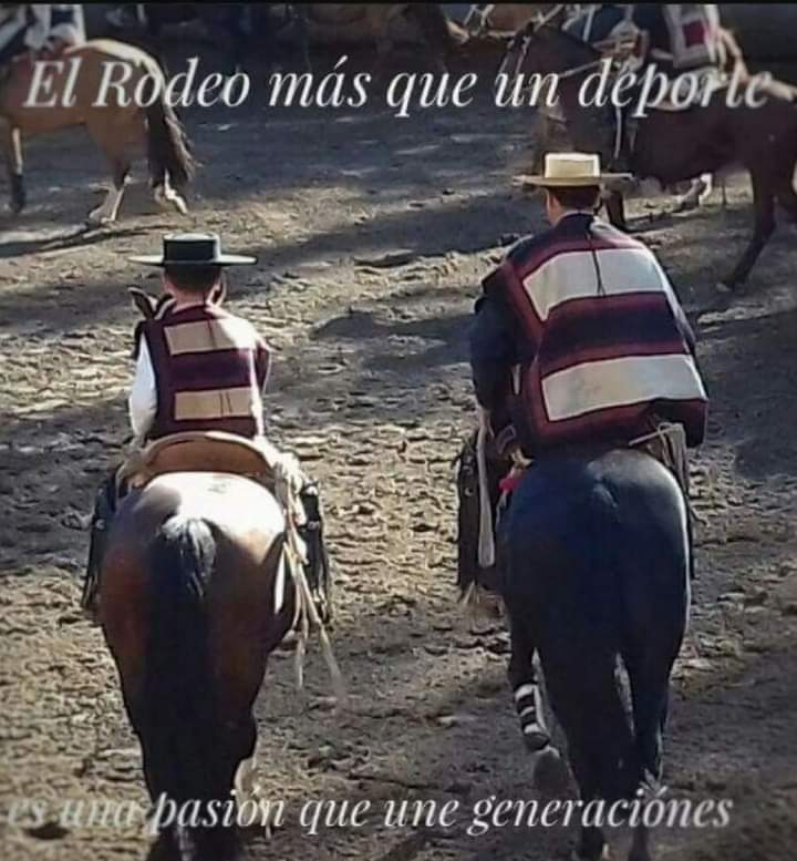 cbarriaz's tweet photo. Buenas noches🇨🇱
#huasos #tradiciones #championdechile #CaminoAlChampionDeChile #Rodeo #floklore #caballos #chileesunico #caballoyrodeo #huasoamigo #criadores https://t.co/ylorIMR1ub