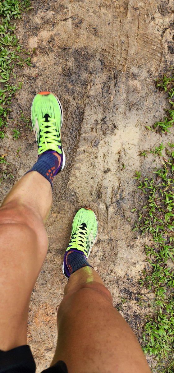 AkiPonJin's tweet photo. Running in the rain saps my strength and motivation. Also I stopped to take a dump
#legpics #reallydidntfeellikerunning #cosweathertoofine https://t.co/hspPv04rk9