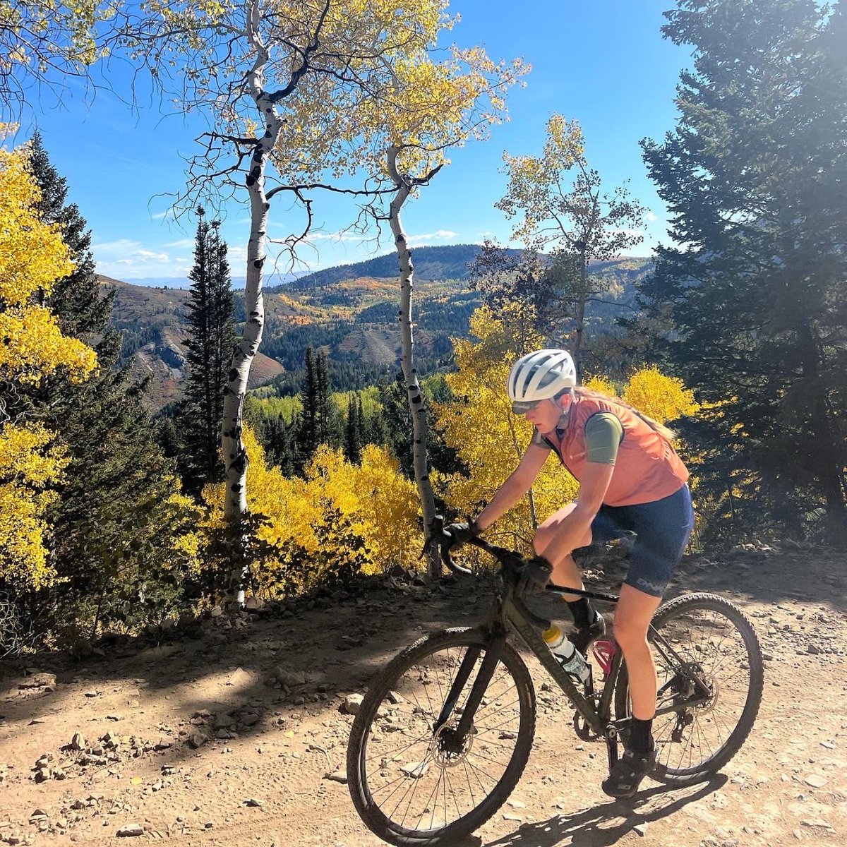 DNACYCLING tweet media