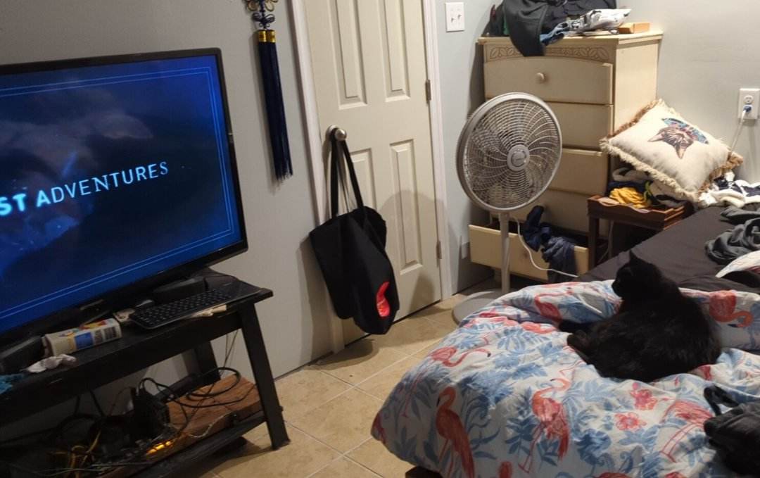 JWeaverWrites's tweet photo. Caught Princess Vinnie enjoying some @GhostAdventures https://t.co/tP5KVnhxQ2