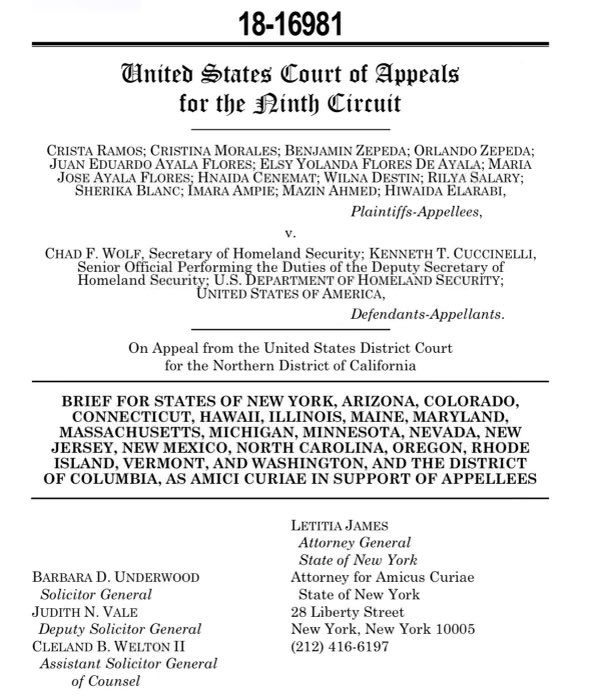 Breaking: 19 states including Washington D.C have filed an amicus brief in support of TPS families & continue to make the case for #TPSJustice