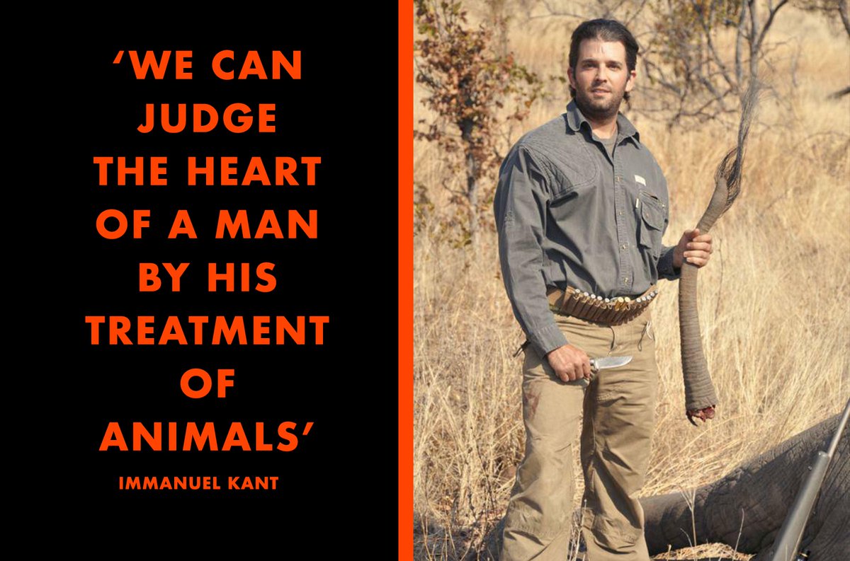 _AnimalAdvocate's tweet photo. Don Jr is what's left after every redeemable human characteristic has been generically removed.🤔

#BanTrophyHunting NOW @JoeBiden🙏

@CBTHunting @RickyGervais @PeterEgan6 @Protect_Wldlife @Veganella_ @RobRobbEdwards @domdyer70 @Animal_Watch @NickTaylorLLB @hilltopgina @BellaLack https://t.co/ngQ7jEQ9zi