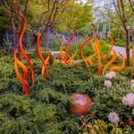 Photo by Chihuly Garden and Glass (@ChihulyGG)