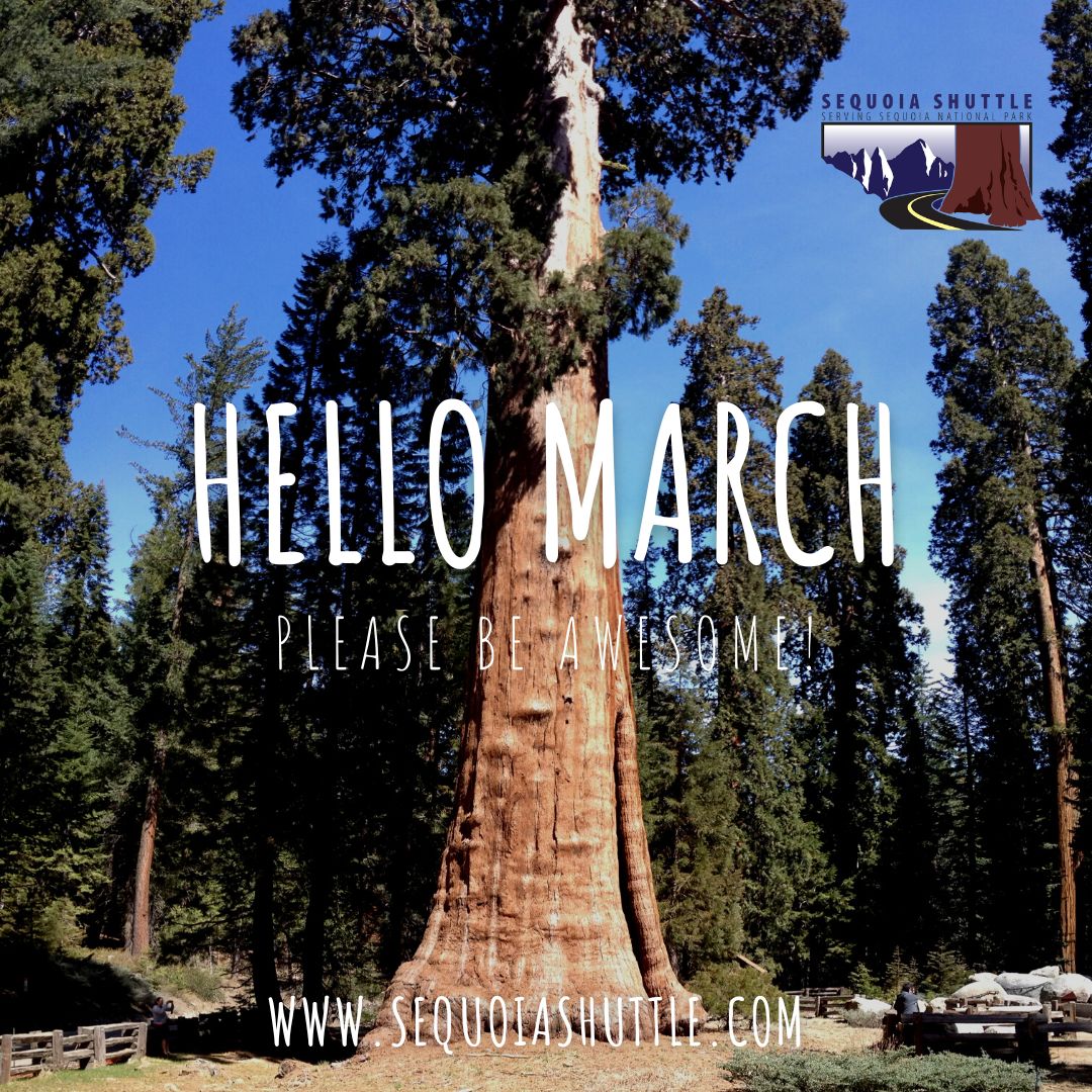 Sequoia Shuttle tweet media