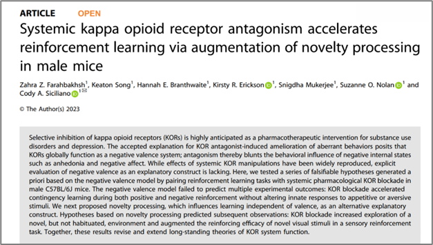 Our paper is out in <a href="/npp_journal/">Neuropsychopharmacology</a> from first author <a href="/ZFarahbakhsh/">Zahra Farahbakhsh</a>! We tested if widely accepted theories of kappa opioid receptor (KOR) function help us to predict how pharmacologically targeting this receptor affects behavior. Turns out not so much...🧵 rdcu.be/c5PmO