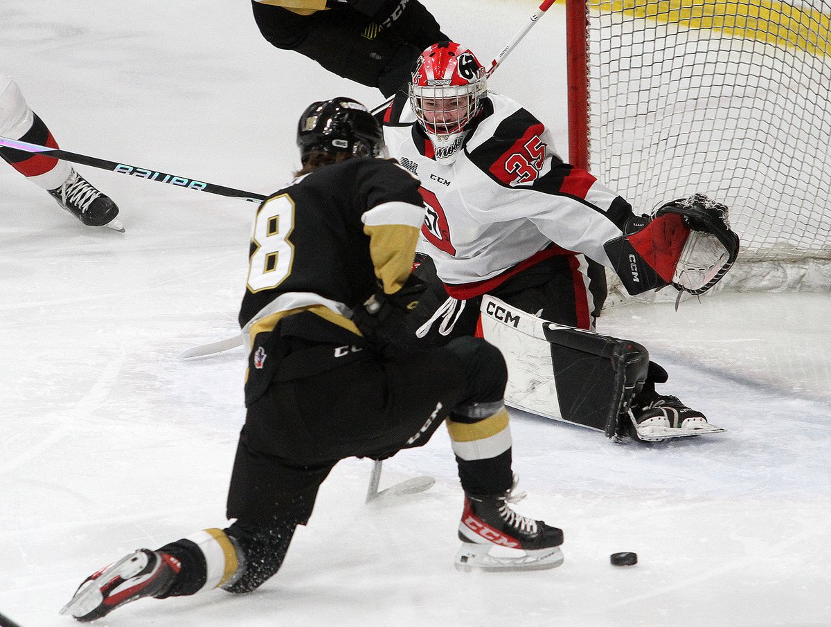 Ian MacAlpine tweet media