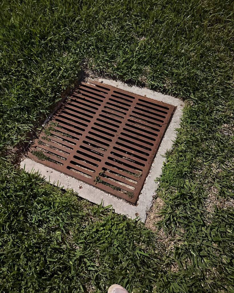 Everyone did grate today! instagr.am/p/CpWPF25uThX/