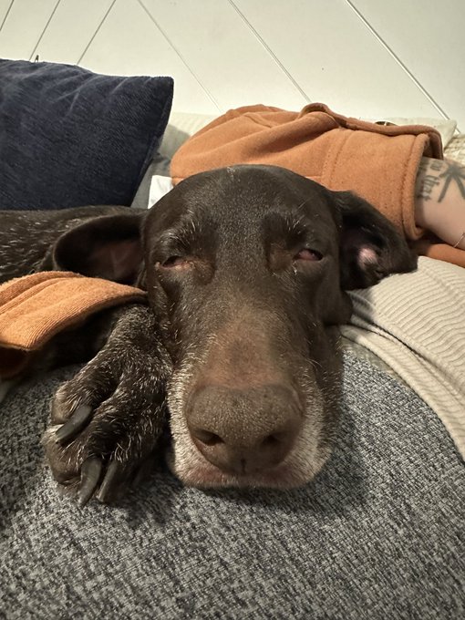 cap n i’s mood all weekend https://t.co/s6Q8MPJ7Ky