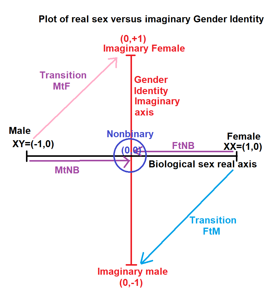 Tom_Ruen's tweet photo. Plot complex plane:
* Biological Sex on x-axis (Male to Female)
* Gender Identity on imaginary y-axis (iMale to iFemale). 
* Imaginary axis only real at y=0 (nonbinary). No other compromise.
We must stand for biological reality, or identity-hell for everyone. #TransWomenAreConMen https://t.co/4gmQfscLv4