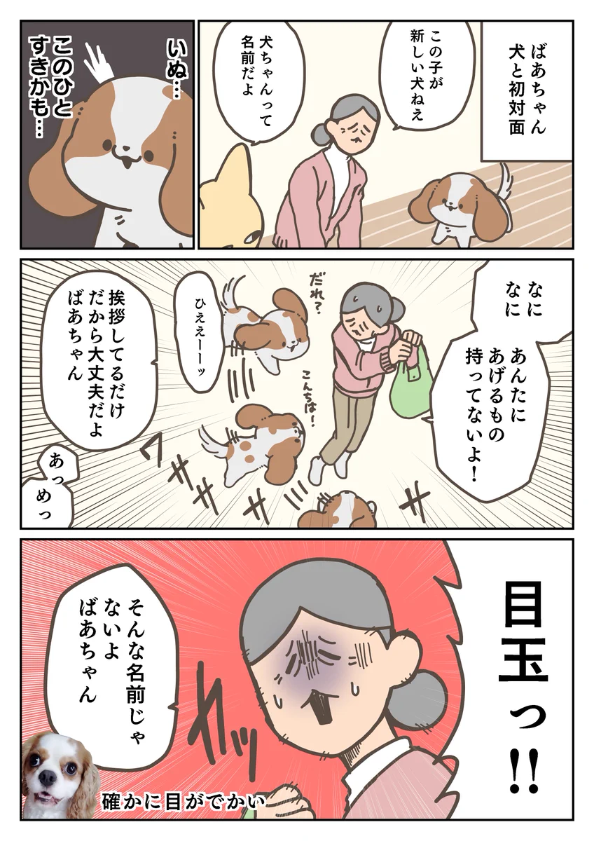 すごく癒される！祖母が愛犬と初対面したときのお話を描いた犬漫画が話題に！