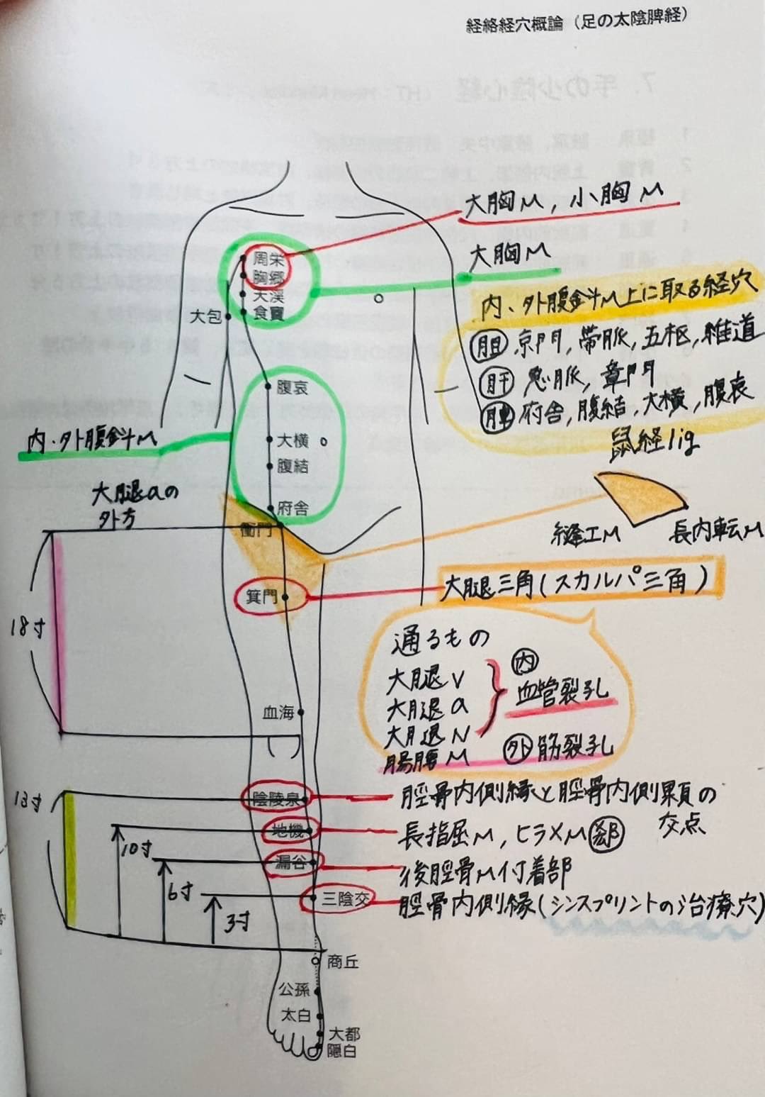 るみ塾@鍼灸国家試験対策の鬼/鍼灸国試 on X: るみ塾@鍼灸国家試験対策の鬼/鍼灸国試 on X: