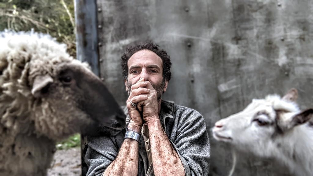 SuzonArt's tweet image. Lone (Brian Ballentine) lost his sheep Jane recently. #Artists