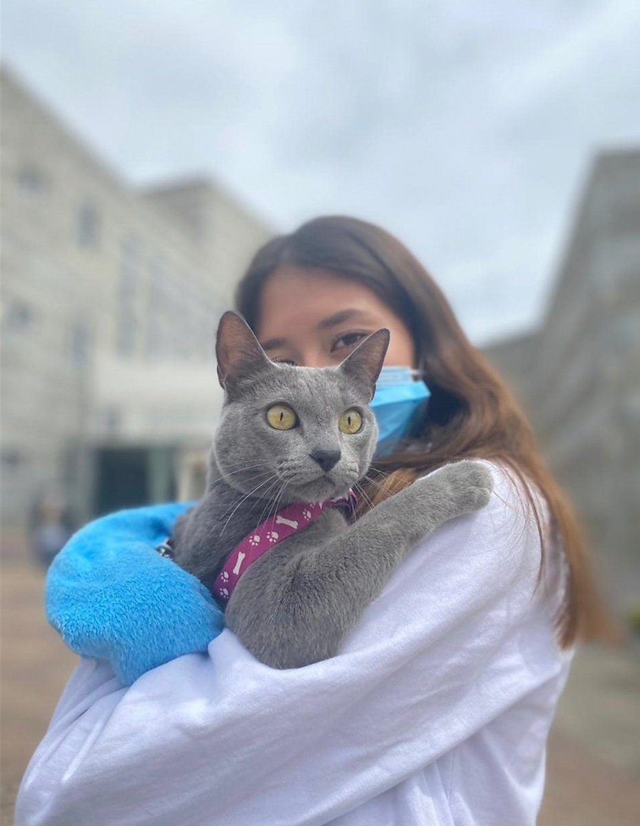 nirvana_vital's tweet photo. Le voy a dedicar mi título a mis mascotas ❤️ https://t.co/TEBvdFkHya