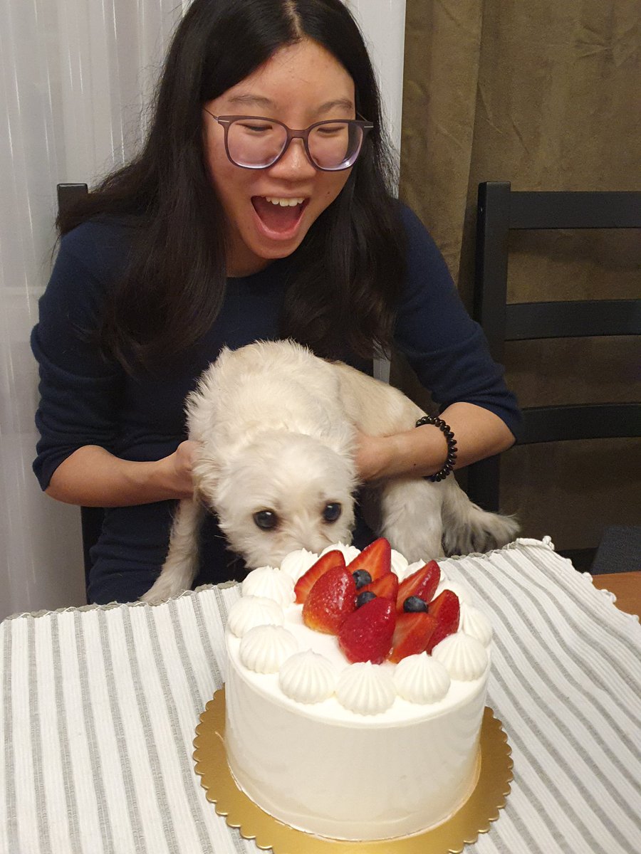 asp_qian's tweet image. When your dog has different priorities in life 🐶😂
#newdecade #thecakeismine