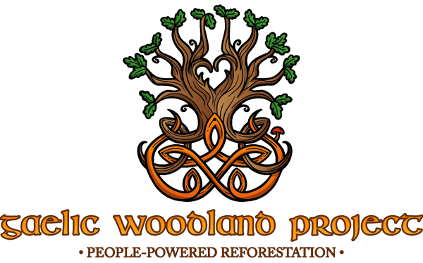 WhatMollySaid's tweet image. "People-Powered #Reforestation in #Ireland
Flash Fundraiser for a Forest
We need your help raising funds for a new #NativeForest: €150 returns 100m2 to nature forever."
gaelicwoodlandproject.com/fight-for-our-…