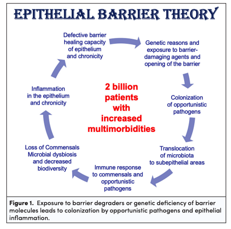 Looking for something to read this weekend ? 🤔

Read this great review 👇🏻

"Epithelial Barrier Hypothesis 
- a new perspective to explain the effects of industrialization without control creeping into our daily lives."

✍🏻 Kiykim, <a href="/AkdisCezmi/">Cezmi Akdis</a>, <a href="/halukcokugras21/">Haluk Çokuğraş</a>