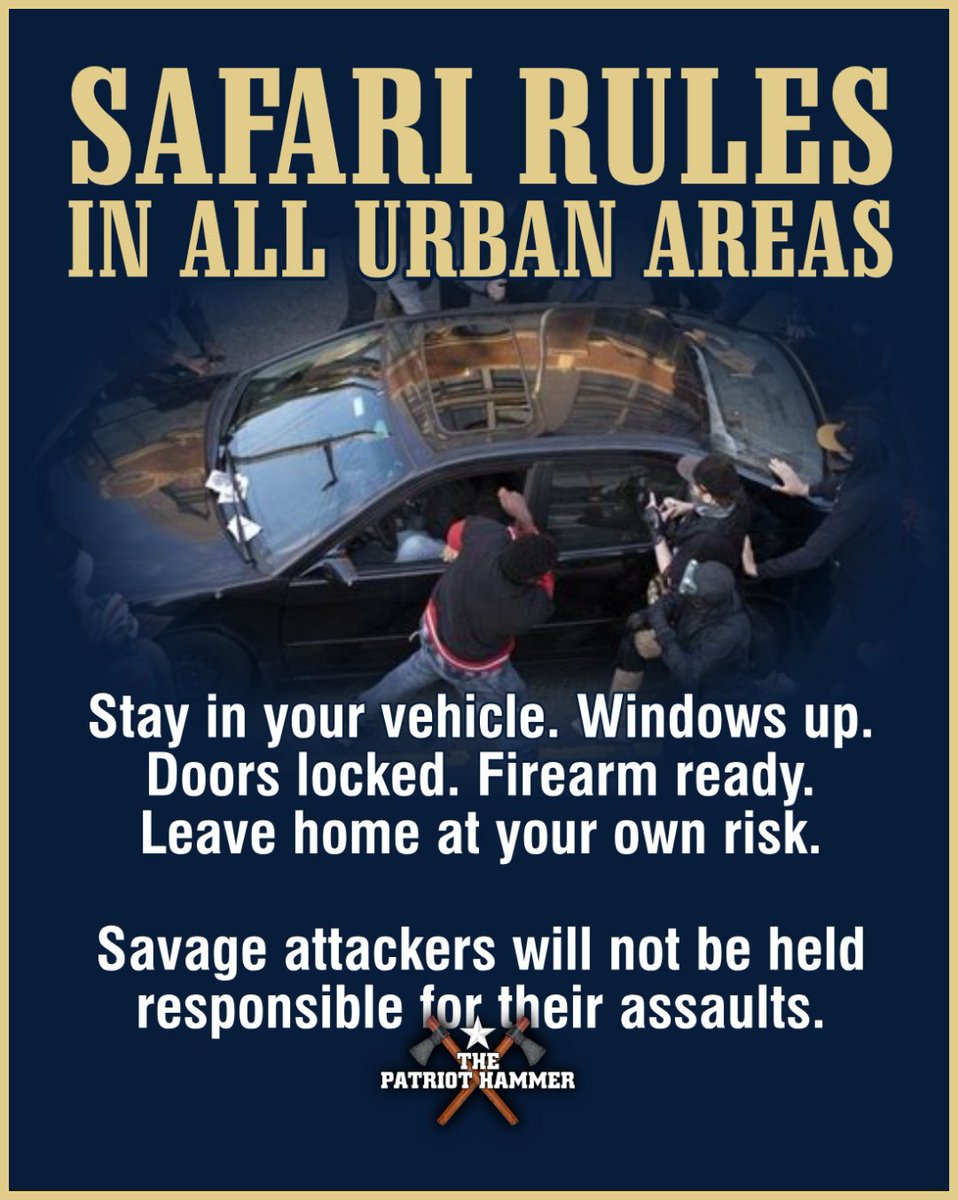 patriot_hammer's tweet photo. #SafariRules 🦍 Stay in your vehicle. Windows up. Doors locked. Firearm ready. https://t.co/BGRmQZzOSZ