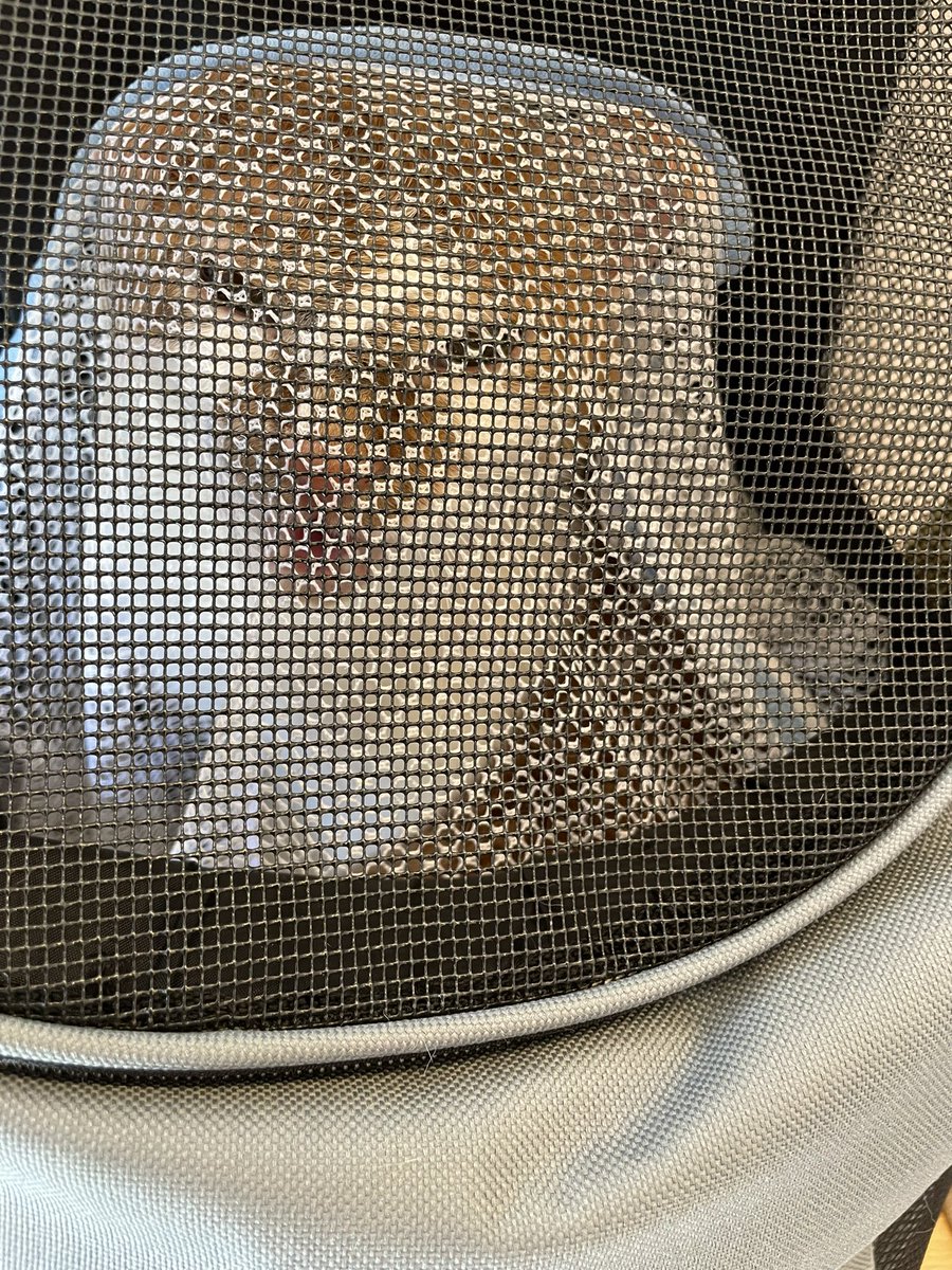 today was animal hospital day.meow!
ฅ^•ﻌ•^ฅ♡ 
#cat #tsukushi #japan #meow