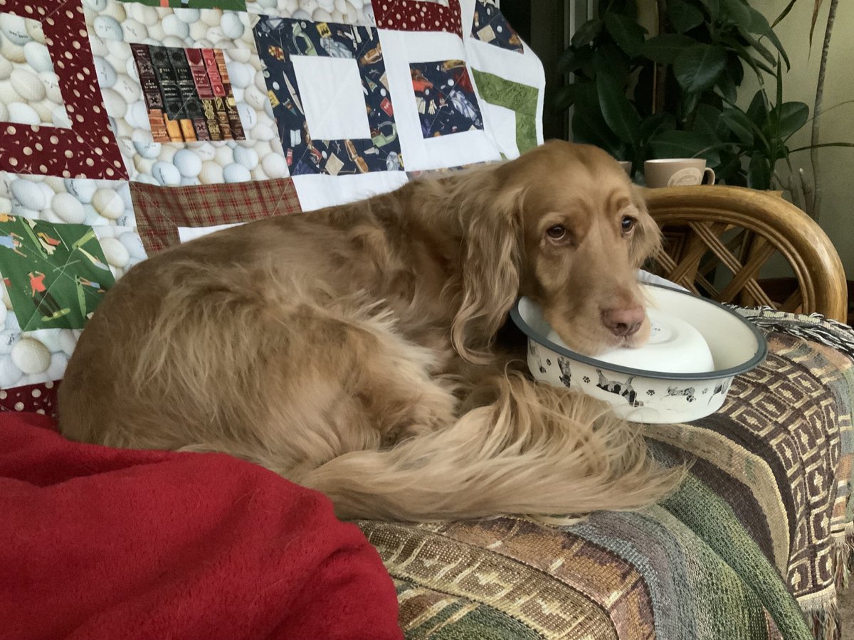 Just wanted to tell you it’s time for breakfast 🐕