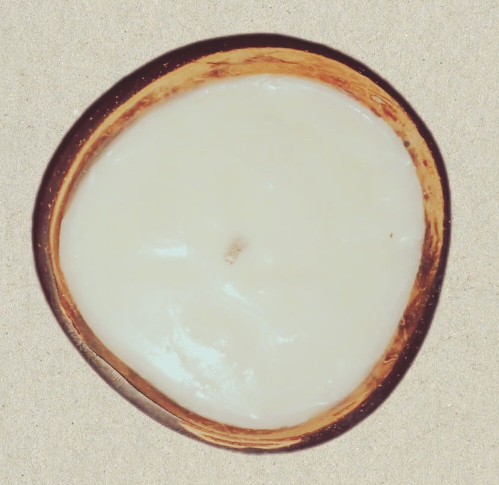 cocobowlske's tweet image. Have a great weekend fam 🤗

Order your candles today!!
#cocobowlske #brevicrafts #coconutshell #coconutshells #coconutbowl #coconutbowls #scentedcandle #soywaxcandle #coconutwaxcandle  #travelcandle  #gifts #giftideas  #handmadecrafts #handmadeforyou #handmadewithlove #buynow