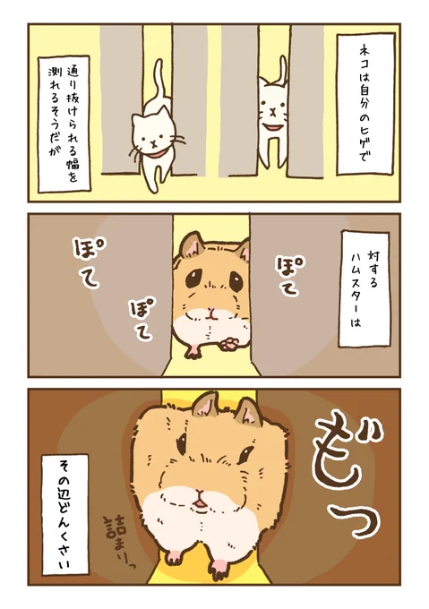 どんくさいハムスター 