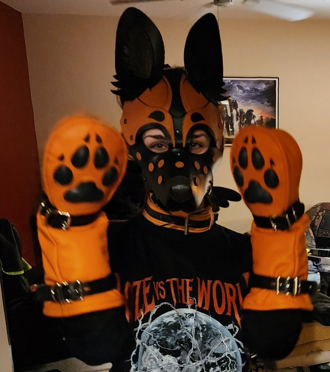 SnoofADoof's tweet photo. Literally a Bozo
#puphood #pup #puppyplay #furryAD https://t.co/938pRrKQnB