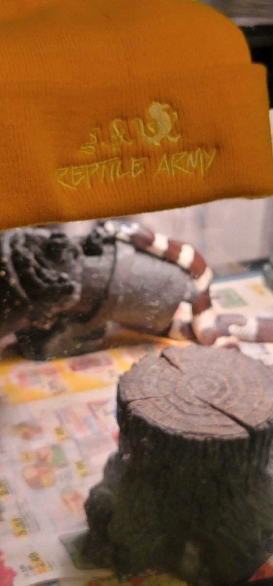 sskt77's tweet image. @SnakeBytesTV sending out positive vibes for a speedy recovery 🤙#reptilearmy