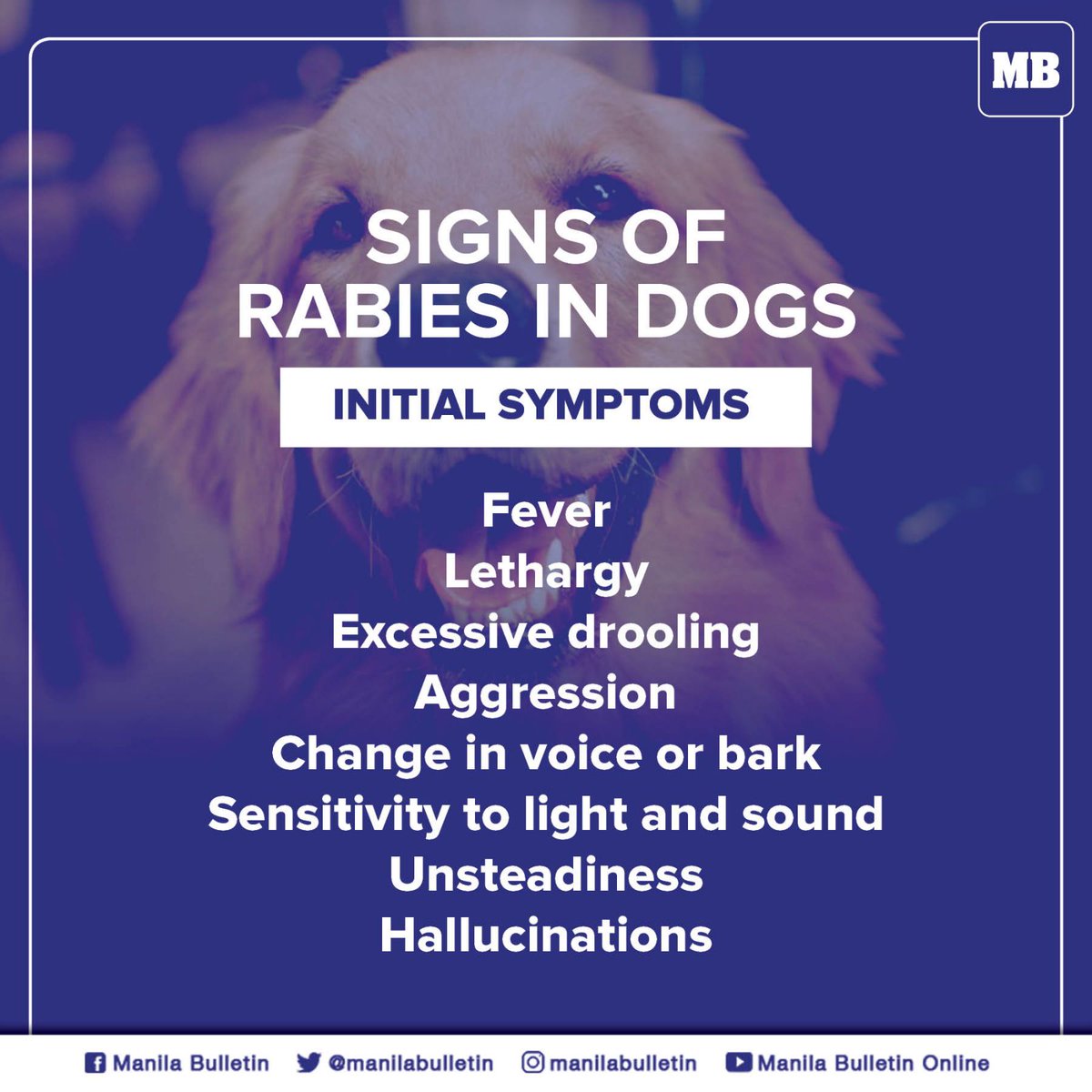 MARCH IS RABIES AWARENESS MONTH — Rabies is a serious disease that can ...