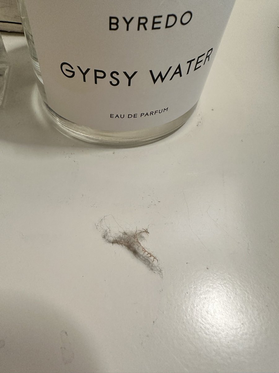 chelosdanger's tweet photo. I thought my sweater was just super itchy at one spot because I'm very sensitive to scratchy...turns out this was woven into one of the strands.

(Yes that is indeed little spikes you're seeing.) https://t.co/a5Wu1zVqE0