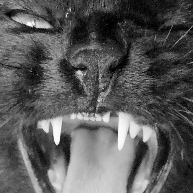 🚨25% off entire discography on my <a href="/Bandcamp/">bandcamp</a> 👉 sublevelmusic.bandcamp.com

#BandcampFriday #housemusic #303day