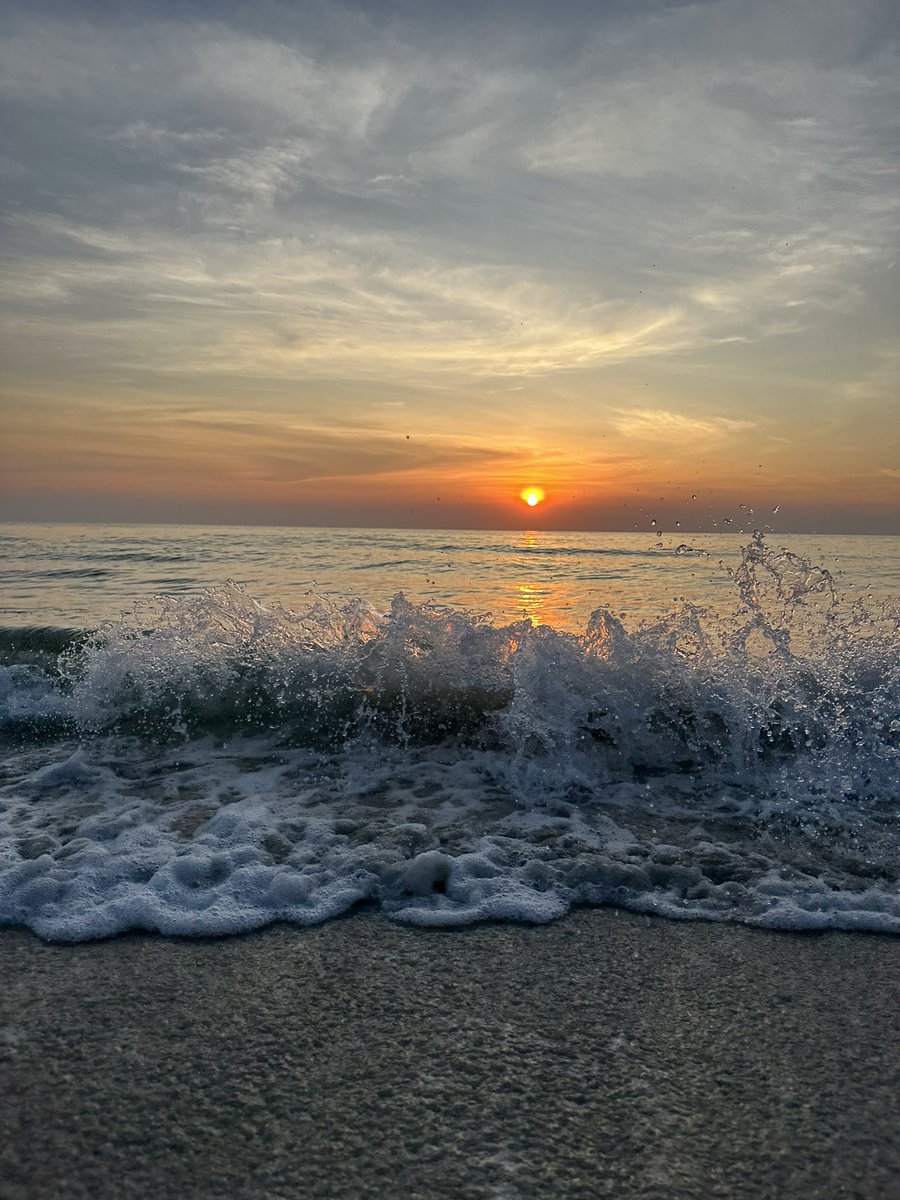 ᝰ.ᐟ🫐 tweet media