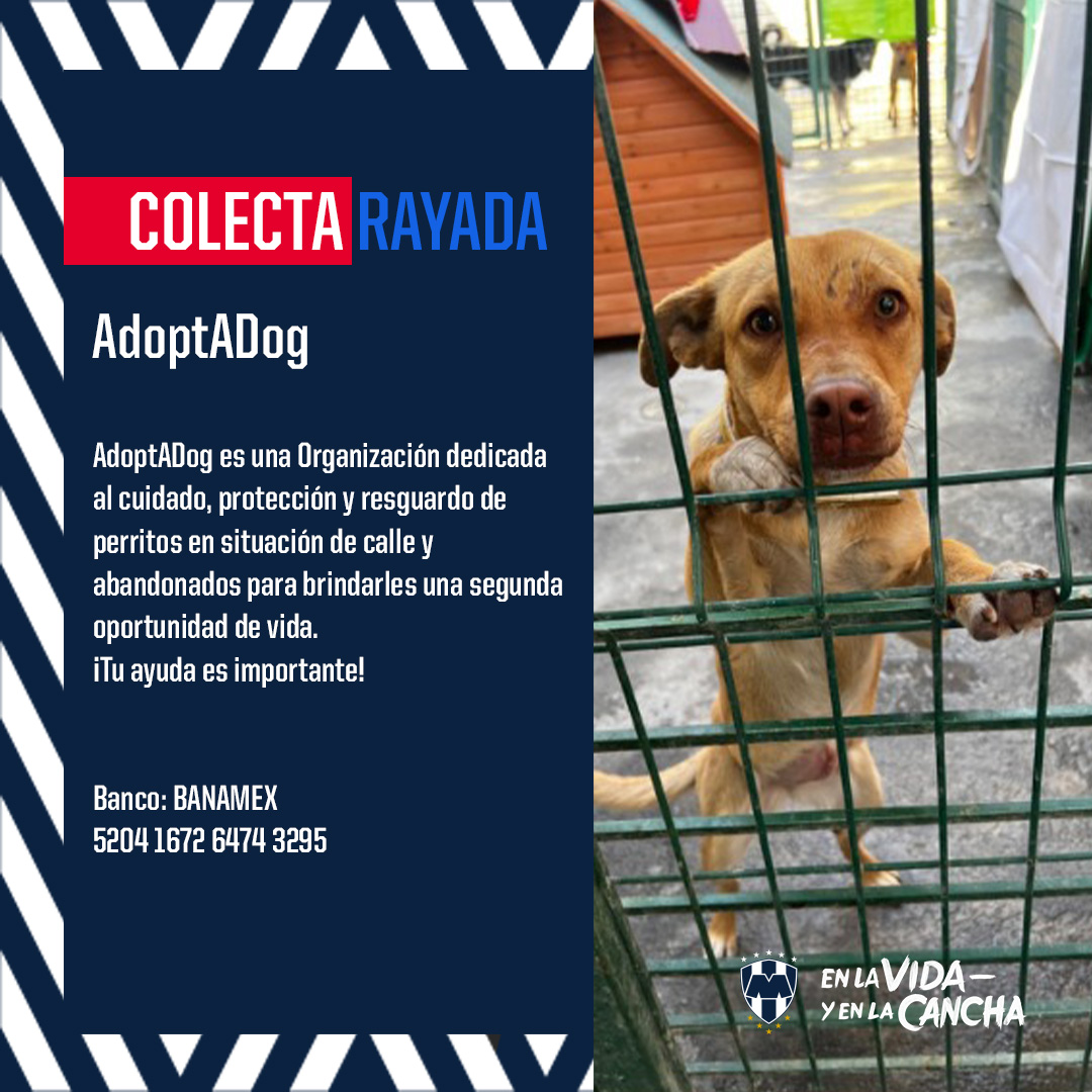 Rayados tweet media