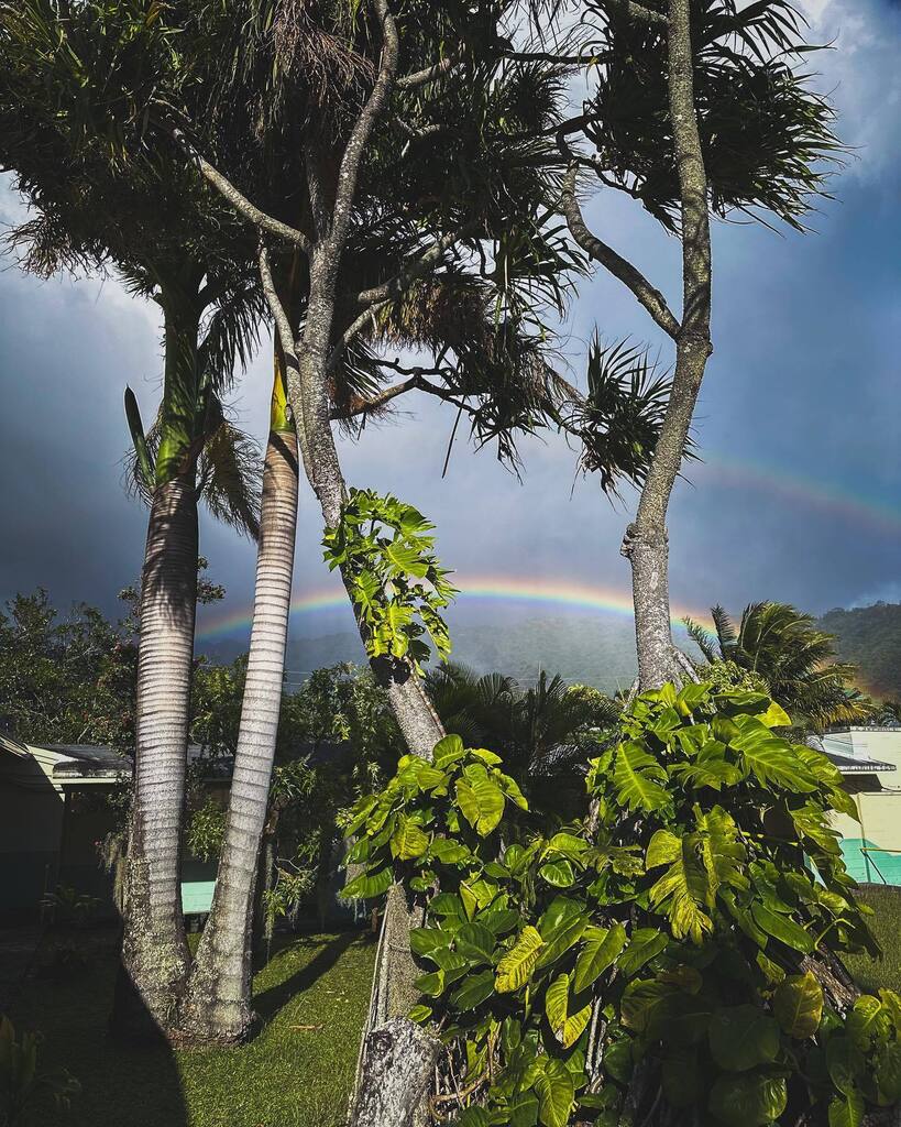 farmeraugusto's tweet photo. 03.03.2023 Happy Aloha Friday 🌺 https://t.co/f9ijg9m4dk https://t.co/0GsoP6fAZl