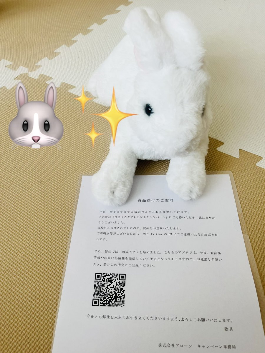zoupapa's tweet photo. 株式会社アローン(@ALLONE_2021 )様
、ひざうさぎプレゼントキャンペーンに当選致しました🎉

ぬいぐるみ好きの子供たちは歓喜、大喜びでした🐇😆

素敵なキャンペーンをありがとうございました🐘🐘

#株式会社アローン
#ぞうパパ当選報告
#ひざうさぎ https://t.co/QVU4Ps1hJV